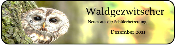 Waldgezwitscher